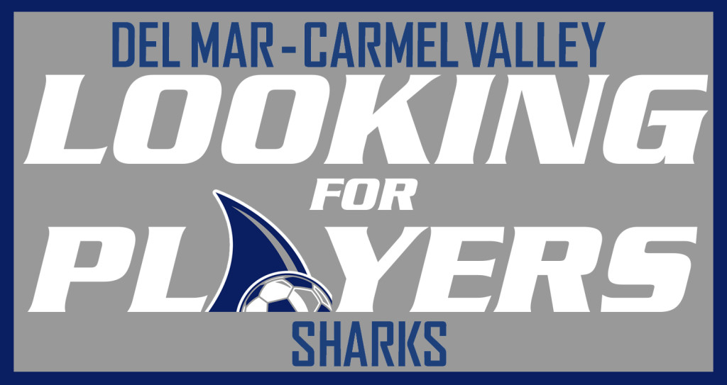 DMCV Sharks Player Tryouts