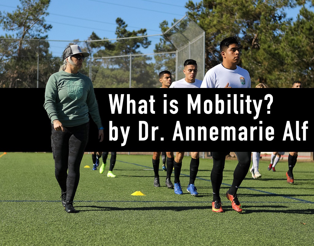 What is MOBILITY? Great info this week from Olympus Movement